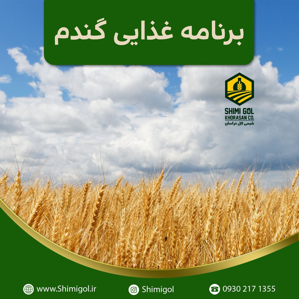 برنامه غذایی گندم