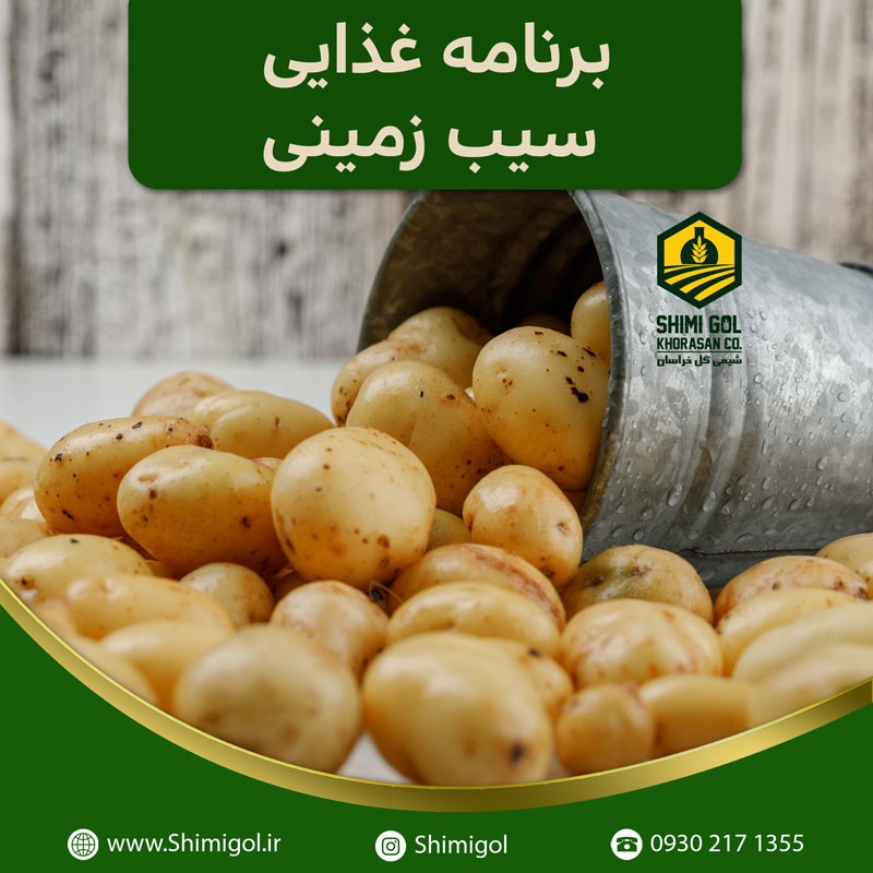 برنامه غذایی سیب زمینی