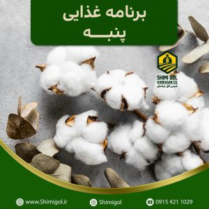 برنامه غذایی پنبه